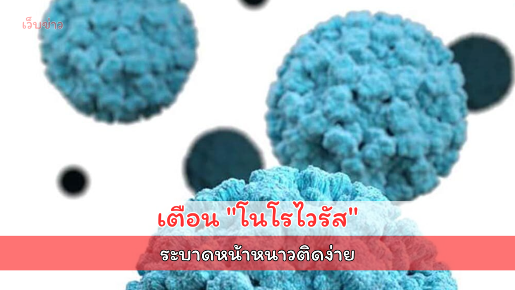 แพทย์เตือน "โนโรไวรัส" ไม่มียารักษาเฉพาะ แอลกอฮอล์ฆ่-าเชื้อไม่ได้ เผยวิธีป้องกัน