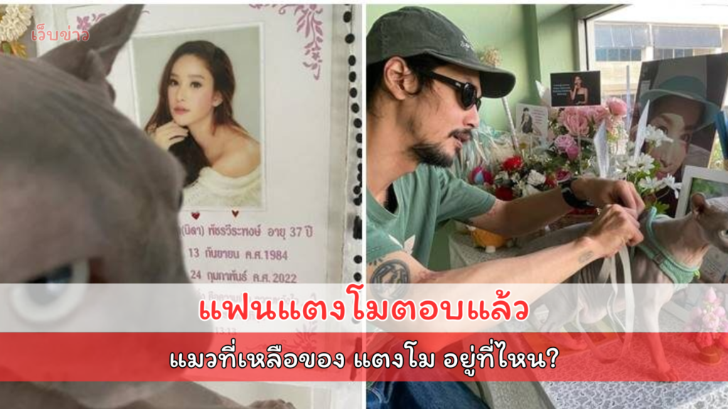 เบิร์ด เทคนิค ตอบแล้ว แมวที่เหลือของ แตงโม อยู่ที่ไหน?